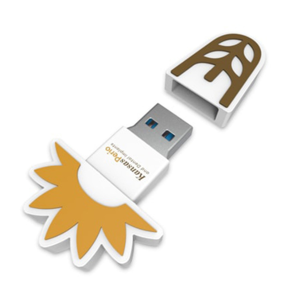 Custom Shape Rubber PVC 4G USB Flash Drives For Promotion Gifts 2
